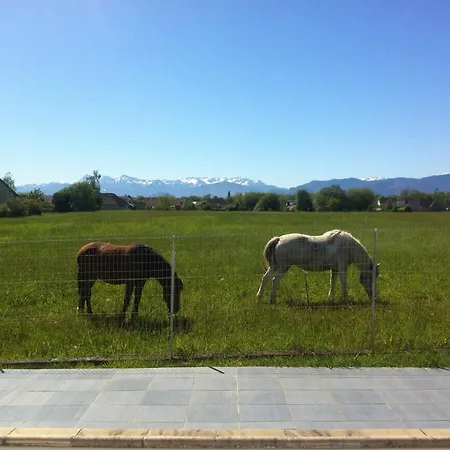 Duplex Maison Grand Spa 62 Jets Massants Face Pyrenees Διαμέρισμα Livron